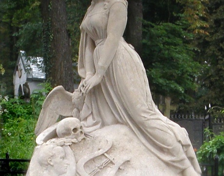 Кароль Млодніцький. Фотогалерея